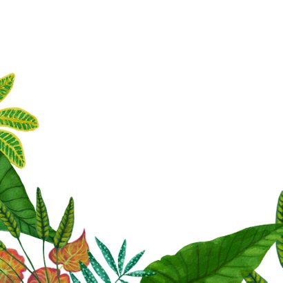 Botanische beterschapskaart 2