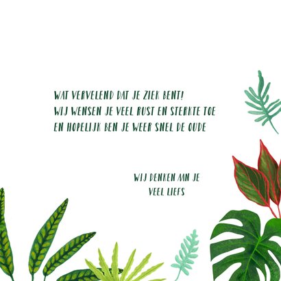 Botanische beterschapskaart 3