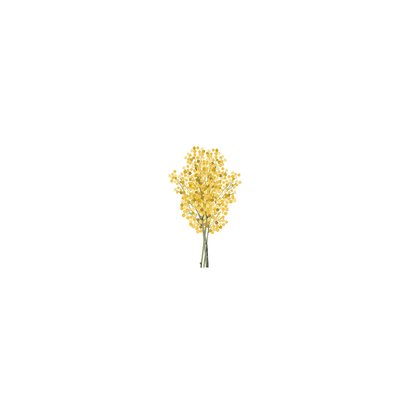 Botanische uitnodiging trouwkaart gele mimosa bloemen Achterkant