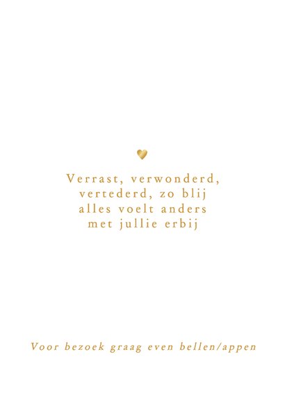 Broer kust tweeling in goudfolie 2