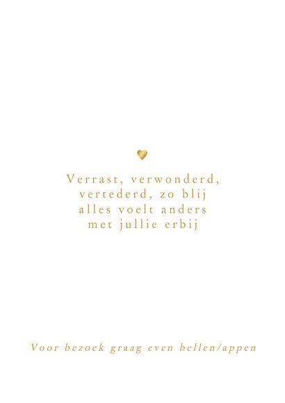 Broer kust tweeling in goudfolie 2