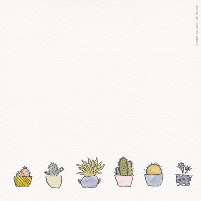 Cactus en vetplant 2