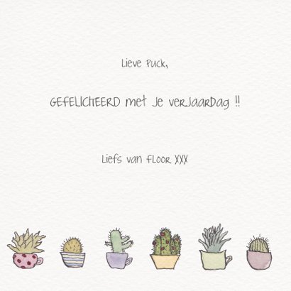 Cactus en vetplant 3