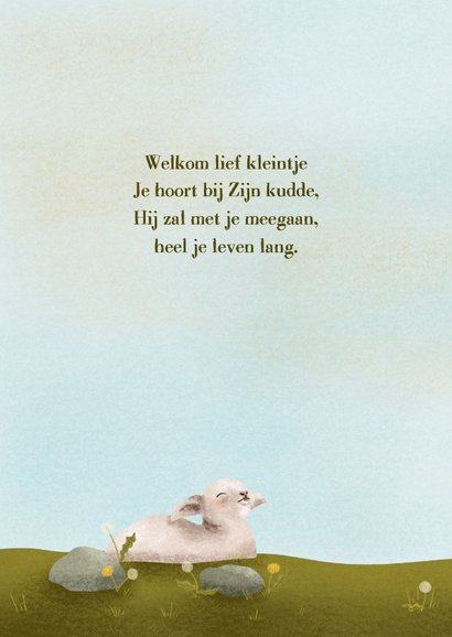 Christelijk felicitatiekaartje met lammetje voor jongen 2