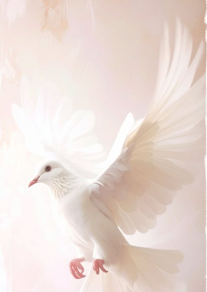 Christelijke condoleance kaart met witte duif 2