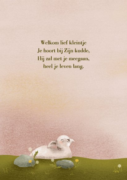 Christelijke felicitatie met schaapje in weide voor meisje 2