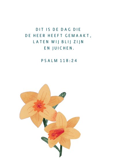 Christelijke verjaardagskaart met vrolijke narcissen 2