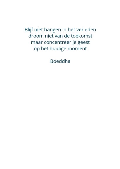 Coaching orchidee Boeddha 3