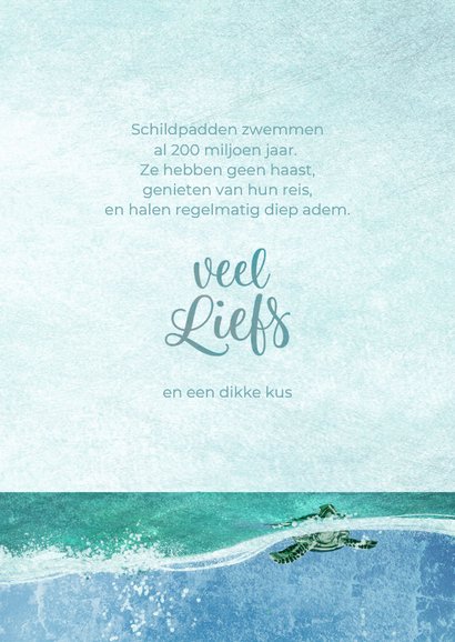 Coachingskaart pak je rust schildpad 3