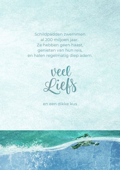 Coachingskaart pak je rust schildpad 3