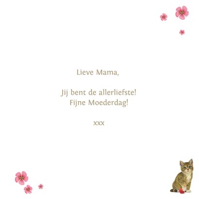 Collage kittens en bloemen voor moederdag 3