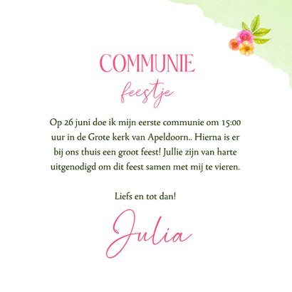 Communie feestje paard 3