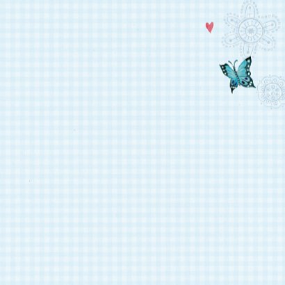Communie Vlinders BB ruitje blue 3