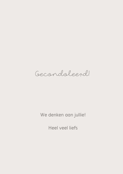Condoleance jongen regenboog 3