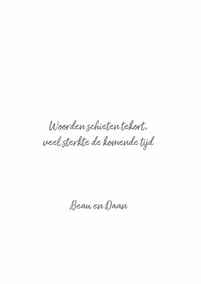 Condoleance kaart Engeltje met twee duiven 3
