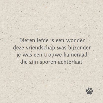 Condoleance kaart huisdier 3