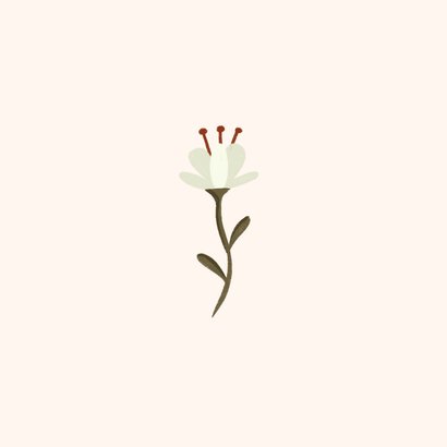 Condoleance kaart kleine witte bloem 2