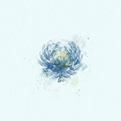 Condoleance kaart met blauwe aquarel chrysant 2