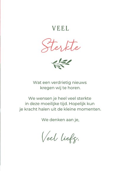 Condoleance kaart met foto van rode kerstster plant 3