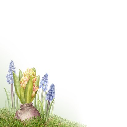 Condoleance kaart vlinder bloemen voorjaar 2