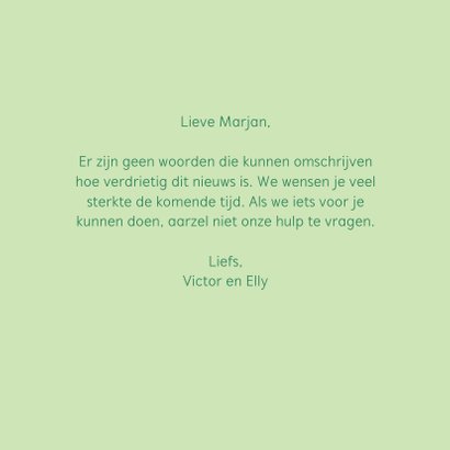 Condoleance kaartje met sierlijke mooie vlinder 3