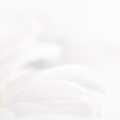 Condoleance met roze chrysant 3