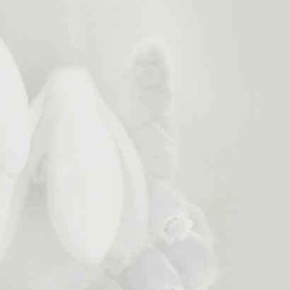 Condoleance met voorjaarsbloemen 2