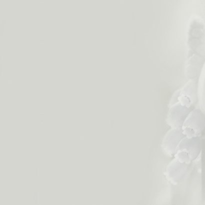 Condoleance met voorjaarsbloemen 3