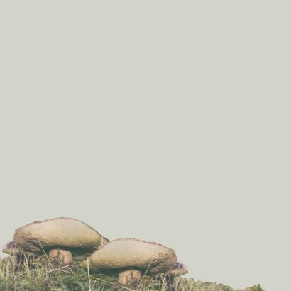 Condoleance Natuur 2