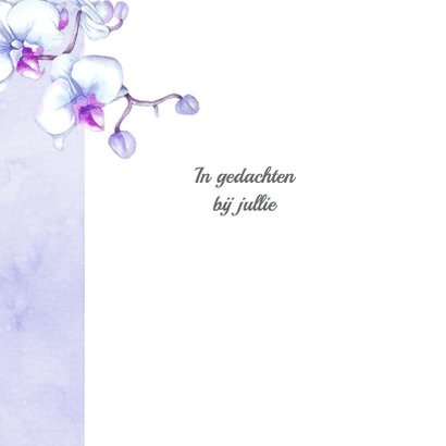 Condoleance orchidee vlinder 2