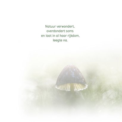 Condoleance paddenstoel/herfst 2