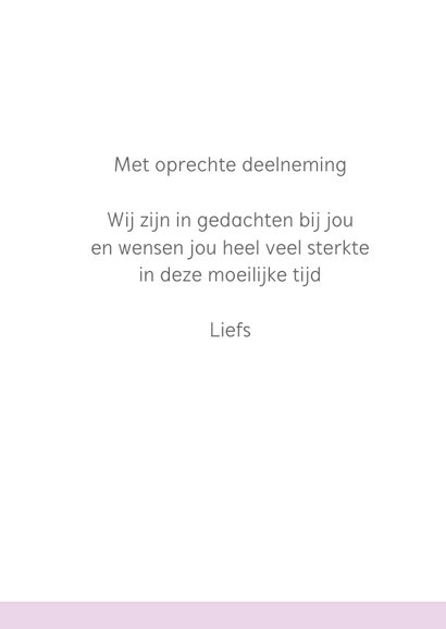 Condoleance roos paars 3