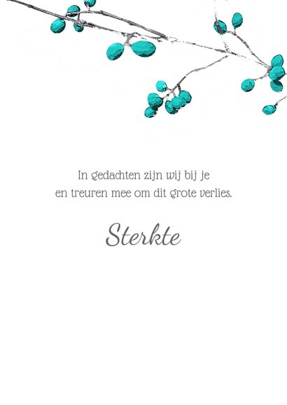 Condoleance sterkte kaart blue berries 3