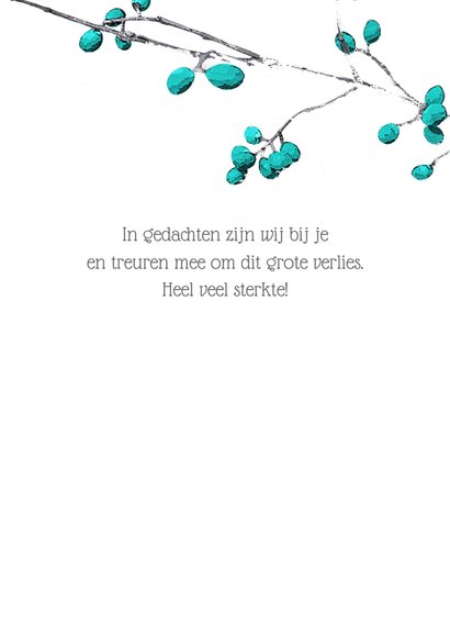 Condoleance sterkte kaart blue berries 3