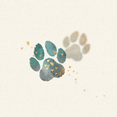 Condoleance sterkte kaart hond kat aquarel pootje 2