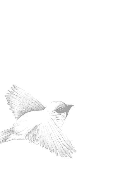 Condoleance - vogel er is niets wat voorgoed verdwijnt 2
