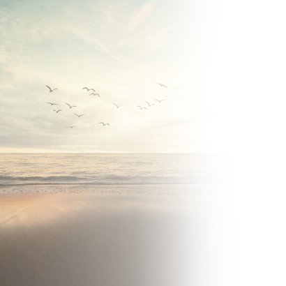 Condoleance - vogels zee 2