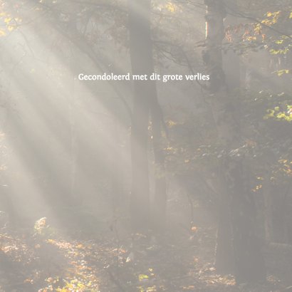 Condoleance zonneharp kleur 3