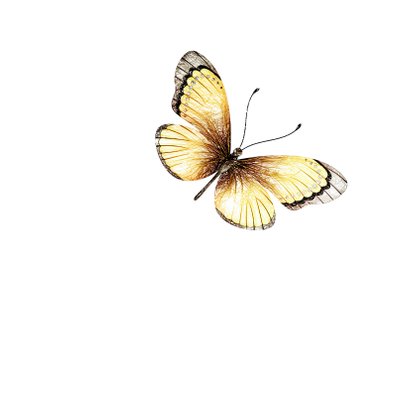 Condoleancekaart aarde abstract vlinder 2