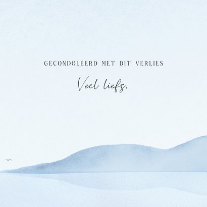 Condoleancekaart aquarel landschap met bergen zee en vogels 3