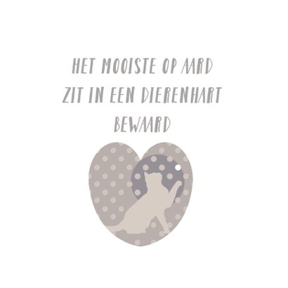 Condoleancekaart bij een poes verlies 2
