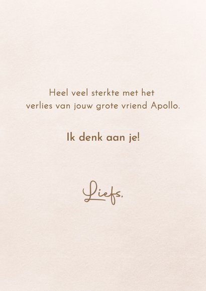 Condoleancekaart bij het verlies van een paard of pony 3