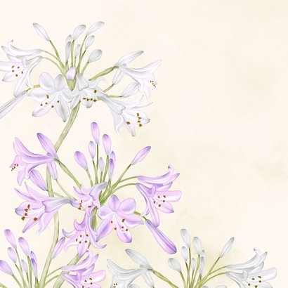 Condoleancekaart bloem agapanthus 2
