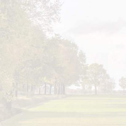 Condoleancekaart bomen in een herfstlandschap 2
