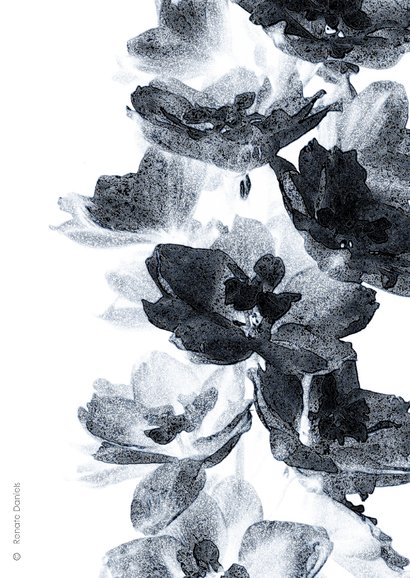 Condoleancekaart delphinium 2