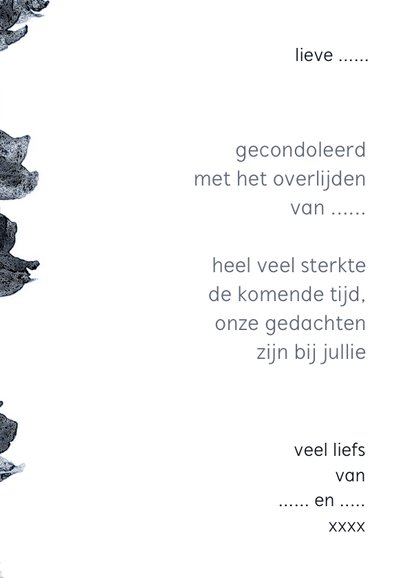 Condoleancekaart delphinium 3