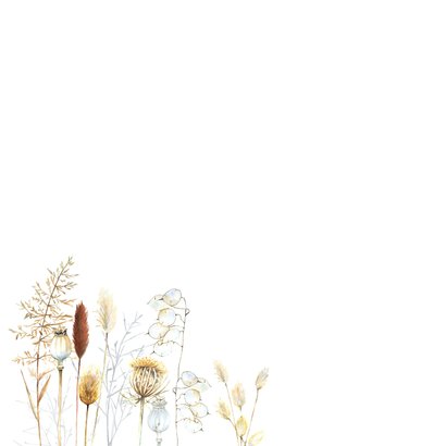 Condoleancekaart droogbloemen 2