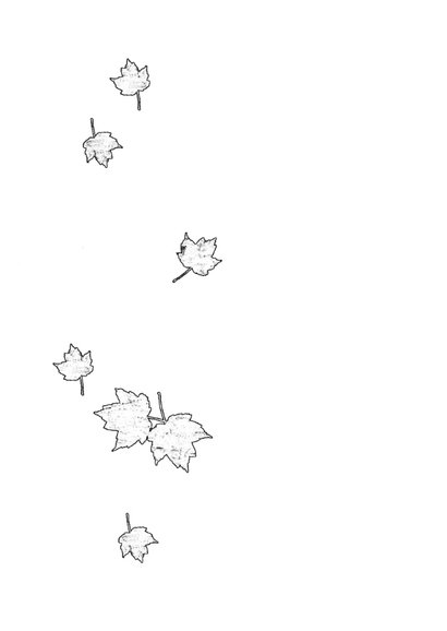 Condoleancekaart falling leaves 2