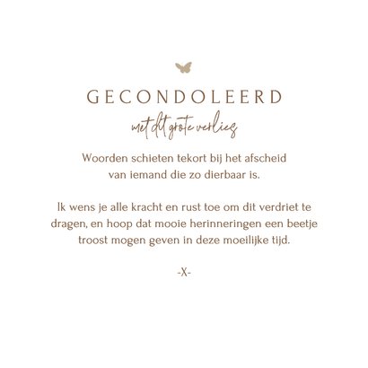 Condoleancekaart gedroogd takje waterverf vlinder sterkte 3