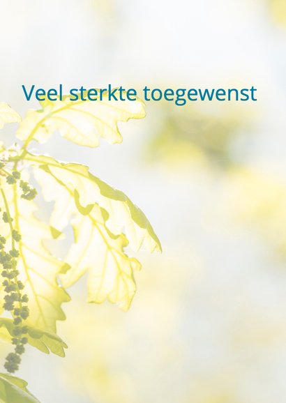 Condoleancekaart Groen blad MM 3